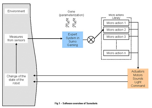 Representation of the genetic inspired algorightm used in SumoBots